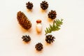 Cosmetic bottle, spruce branches and cones on white background