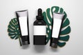 Cosmetic bottles set tubes on Mostera leaves