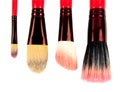 Cosmetic Brush