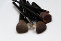 Cosmetic brushes, akeup brushes on a white background