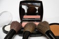 Cosmetic brushes, akeup brushes on a white background Royalty Free Stock Photo