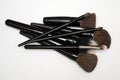 Cosmetic brushes, akeup brushes on a white background