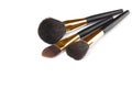 Cosmetic brushes for applying makeup. Royalty Free Stock Photo