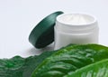 Cosmetic cream and green wet leaf Royalty Free Stock Photo