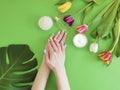 Cosmetic cream hand tulip flower summer wellness creative manicure essence monstera leaf on green colored paper Royalty Free Stock Photo