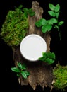 Cosmetic cream jar on tree bark piece side view. Organic cosmetology botanical concept. Closed white plastic container with