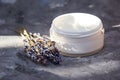 Cosmetic cream and lavender flowers on a gray background. Royalty Free Stock Photo