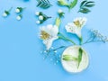 Cosmetic cream, wellness lotion herbal spa fresh cleansing lifestyle floral design flower spring on a colored background