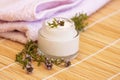 Cosmetic cream and thyme Royalty Free Stock Photo