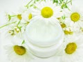 Cosmetic Creme For Face With Daisy Herbal Extract