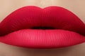 Cosmetic. Glamour fashion bright pink lips mat make-up