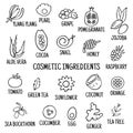 Cosmetic ingredients. Hand-drawn icons of herbs, fruits, vegetables, flowers, oils. Collection of vector icons Royalty Free Stock Photo