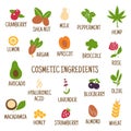 Cosmetic ingredients. Hand-drawn icons of herbs, fruits, vegetables, flowers, oils. Collection of vector icons Royalty Free Stock Photo