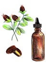 Cosmetic jojoba oil, bottle with dropper. Hair care, face, hands and body. Aromatherapy, relaxation. Hand drawn pencil