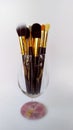 Make-Up Brush, Make-Up, Lip Brush, Beauty Product, Blush Brush Royalty Free Stock Photo