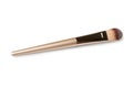 Cosmetic make up brush