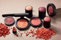 Cosmetic Makeup Powder Blushes.