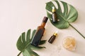 Cosmetic nature skincare and essential oil aromatherapy .organic natural science beauty product. Royalty Free Stock Photo