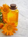 Cosmetic oil calendula flower  spa nature medicinal on a gray concrete background Royalty Free Stock Photo