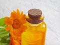 Cosmetic oil calendula flower health spa nature medicinal on a gray concrete background Royalty Free Stock Photo