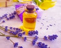 Cosmetic oil flower lavender relaxation, soap on a gray concrete background Royalty Free Stock Photo