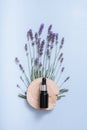 Cosmetic oil or serum in pipette bottle with lavender flowers on colored background top view