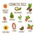 Cosmetic oils. Nuts from which squeeze oils. Nourishing oils for skin beauty. Vector icons