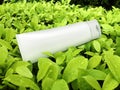 Cosmetic plastic tube on green leaf background Royalty Free Stock Photo