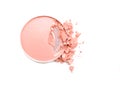 Cosmetic powder brush circle box and crushed blush palette isolated on white.