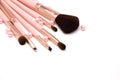 Cosmetic set of make up brush on pink color and pearl isolated on a white background Royalty Free Stock Photo