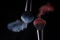 Cosmetic shades of different colors, red and blue, fly away from two make-up brushes creating a fancy pattern on a black Royalty Free Stock Photo