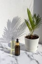 Cosmetic skincare products on marble background with palm leaves shadow. Glass bottle of natural oil, modern concept of organic