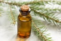 Cosmetic spruce oil in bottles with fur branches on white table background Royalty Free Stock Photo