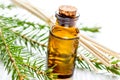 Cosmetic spruce oil in bottles with fur branches on white table Royalty Free Stock Photo