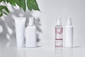 Cosmetic tube and three pump bottles with no logo standing on surface against white studio background and green branch Royalty Free Stock Photo