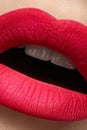 Cosmetics. Beautiful fashion bright pink lips mat make-up