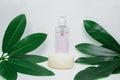 Cosmetics bottle and soap with green leaves Royalty Free Stock Photo