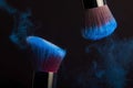 Cosmetics brush and colorful makeup powder Royalty Free Stock Photo