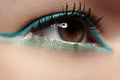 Cosmetics, close-up eye make-up. Fashion eyeshadow Royalty Free Stock Photo