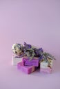 cosmetics with lavender extract. Lavender Soap and Bath Bombs, sprigs of lavender on a light purple background. vegan Royalty Free Stock Photo