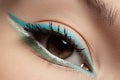 Cosmetics, macro eye make-up. Fashion mint shadows