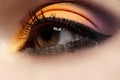 Cosmetics. Macro fashion eye make-up, bright oriental style with eyeliner