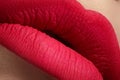 Cosmetics. Macro of fashion pink lips mat make-up