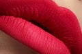 Cosmetics. Macro of fashion pink lips mat make-up Royalty Free Stock Photo