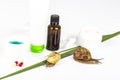 Cosmetics made with snail slime. Very healthy and organic products