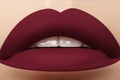 Cosmetics, makeup. Bright lipstick on lips. Closeup of beautiful female mouth with dark red lip makeup. Part of face Royalty Free Stock Photo