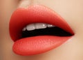 Cosmetics, makeup. Bright lipstick on lips. Closeup of beautiful female mouth with red and pink lip makeup. Part of face Royalty Free Stock Photo