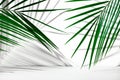 Cosmetics product advertising backdrop. Exhibition white podium on a white background with palm leaves and shadows. Empty pedestal