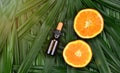 Cosmetics skincare with vitamin-c extract, Cosmetic dropper bottle containers with fresh orange slices.