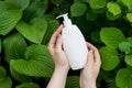 Cosmetics SPA branding mockup. Bath shampoo or shower gel bottle, hair lotion in the hands and green leaves. Bath beauty products Royalty Free Stock Photo